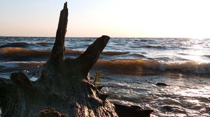 Квест Чтобы уехать из Хвалынска, нужно проснуться